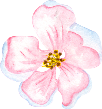 Watercolor Apple Flower